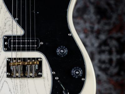 Paul Reed Smith(PRS) 2025 SE NF 53 White Doghair