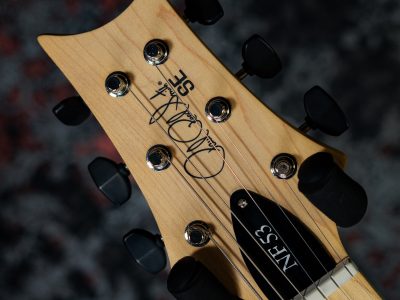 Paul Reed Smith(PRS) 2025 SE NF 53 White Doghair