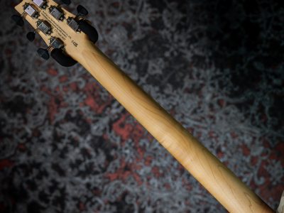 Paul Reed Smith(PRS) 2025 SE NF 53 White Doghair