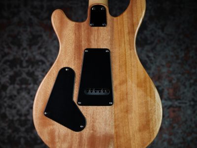 Paul Reed Smith(PRS) 2025 SE CE24 Slate Blue