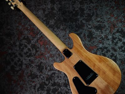 Paul Reed Smith(PRS) 2025 SE CE24 Slate Blue