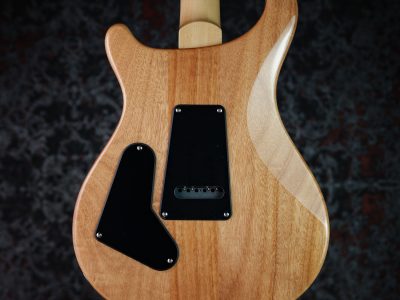 Paul Reed Smith(PRS) SE Custom 24 Charcoal