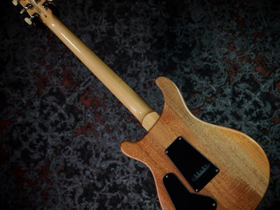 Paul Reed Smith(PRS) SE Custom 24 Charcoal