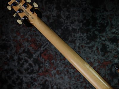 Paul Reed Smith(PRS) SE Custom 24 Charcoal