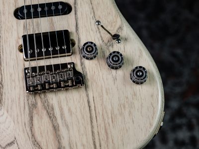 Paul Reed Smith(PRS) Fiore White Doghair
