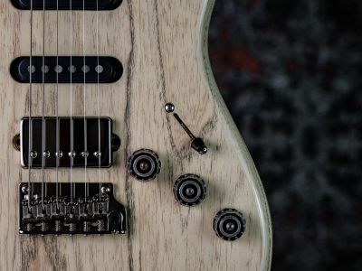 Paul Reed Smith(PRS) Fiore White Doghair