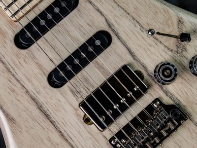 Paul Reed Smith(PRS) Fiore White Doghair