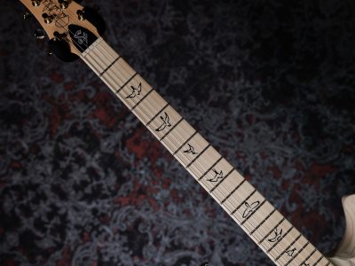 Paul Reed Smith(PRS) Fiore White Doghair