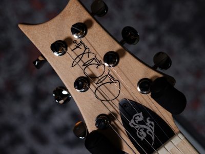 Paul Reed Smith(PRS) Fiore White Doghair