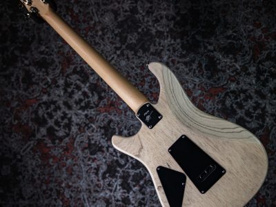 Paul Reed Smith(PRS) Fiore White Doghair