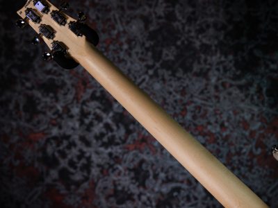 Paul Reed Smith(PRS) Fiore White Doghair