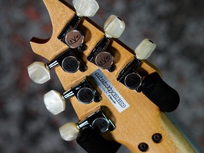 EVH Wolfgang USA Quilted Maple Top / Tobacco Sunburst