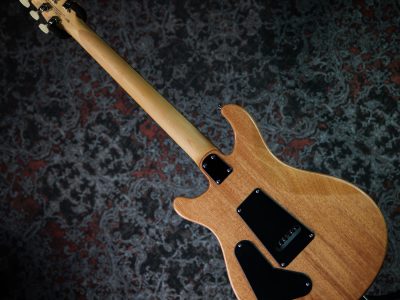 Paul Reed Smith(PRS) 2025 SE CE24 Slate Blue