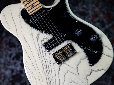 PRS 2025 SE NF 53 White Doghair