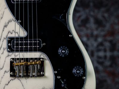 PRS 2025 SE NF 53 White Doghair