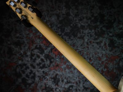 PRS 2025 SE NF 53 White Doghair