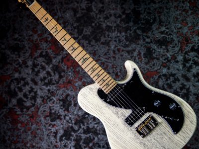 PRS 2025 SE NF 53 White Doghair