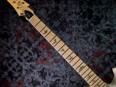 PRS 2025 SE NF 53 White Doghair