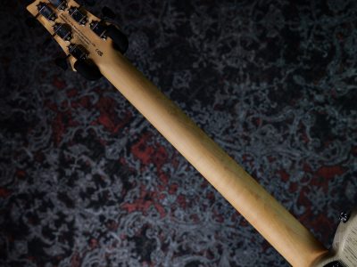 PRS 2025 SE NF 53 White Doghair