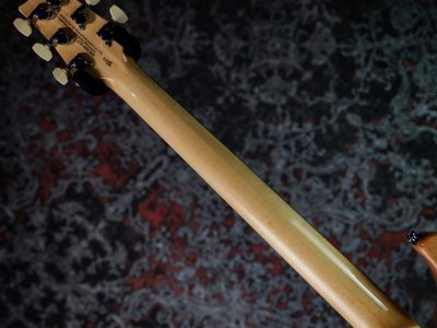 Paul Reed Smith(PRS) 2025 SE Custom 24 Slate Blue