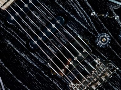 PRS Fiore Black Doghair / Mark Lettieri Signature