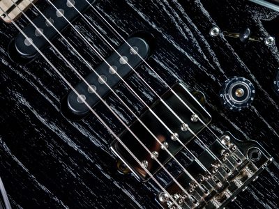 PRS Fiore Black Doghair / Mark Lettieri Signature