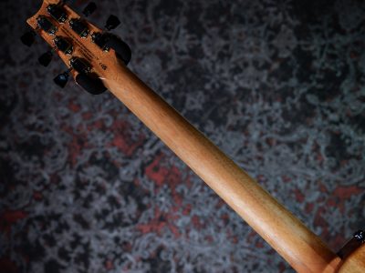 PRS 2025 SE Zach Myers Myers Blue