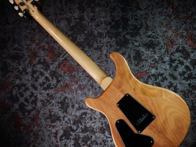 Paul Reed Smith(PRS) 2025 SE Custom 24 Slate Blue