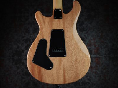 Paul Reed Smith(PRS) 2025 SE CE24 Slate Blue