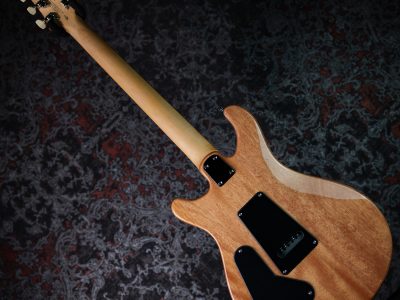 Paul Reed Smith(PRS) 2025 SE CE24 Slate Blue