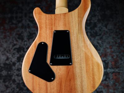 PRS 2025 SE Custom 24 Blue Matteo