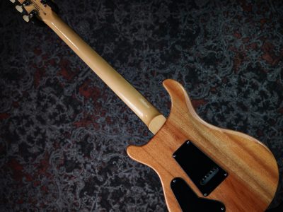 PRS 2025 SE Custom 24 Blue Matteo