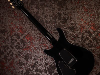 PRS 2025 SE Custom 24 Gray Black