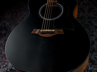 Taylor 114ce Japan LTD Blacktop