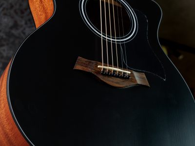 Taylor 114ce Japan LTD Blacktop