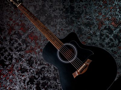 Taylor 114ce Japan LTD Blacktop