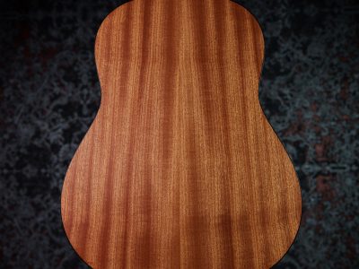 Taylor 117e Japan LTD Blacktop