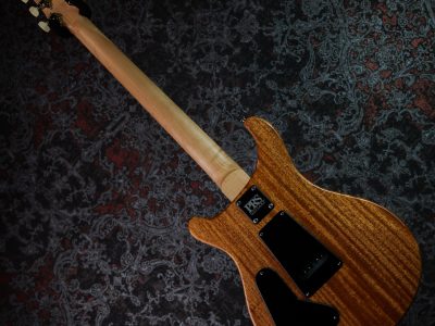 Paul Reed Smith(PRS) 2025 CE 24 Carroll Blue