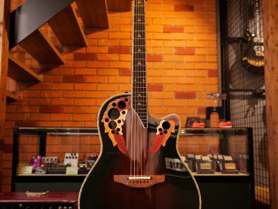 Ovation 1768-X