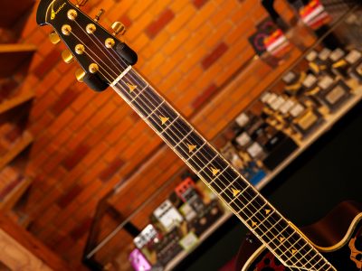 Ovation 1768-X
