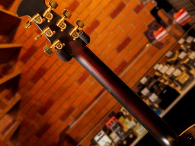 Ovation 1768-X