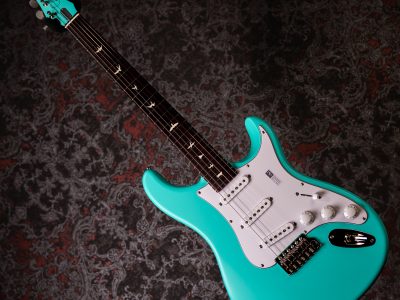 PRS Silver Sky Wild Blue Limited Edition