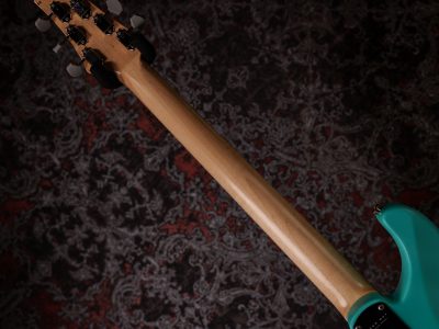 PRS Silver Sky Wild Blue Limited Edition