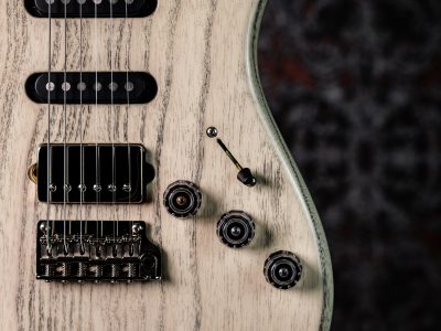 Paul Reed Smith(PRS) Fiore White Doghair