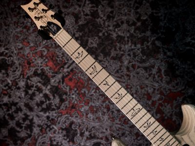 Paul Reed Smith(PRS) Fiore White Doghair