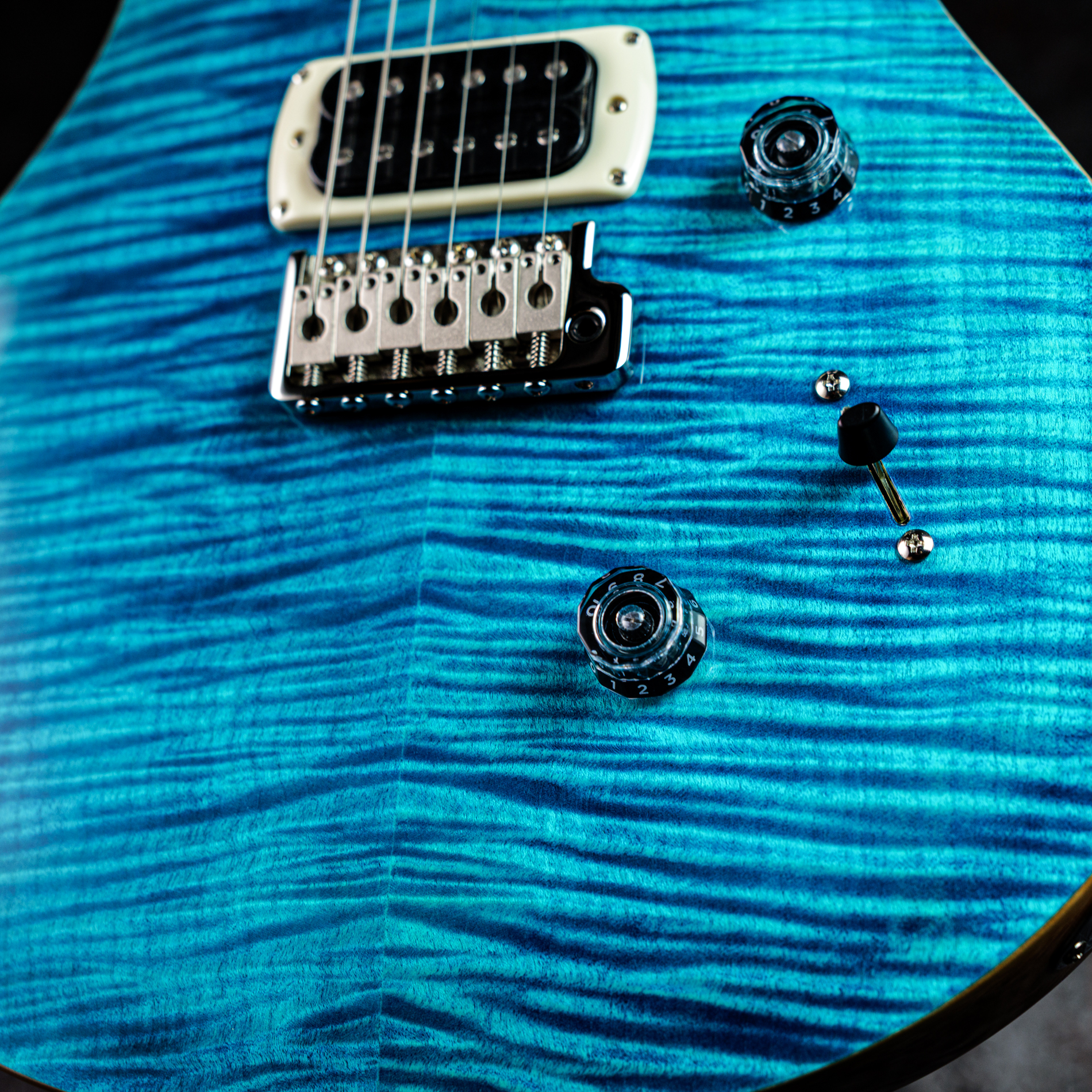 Paul Reed Smith(PRS) 2025 SE Custom 24 Blue Matteo (Natural Back) (Japan Special)