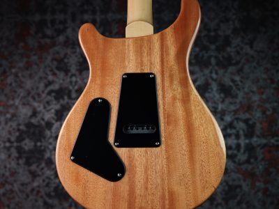 Paul Reed Smith(PRS) 2025 SE Custom 24 Blue Matteo (Natural Back) (Japan Special)