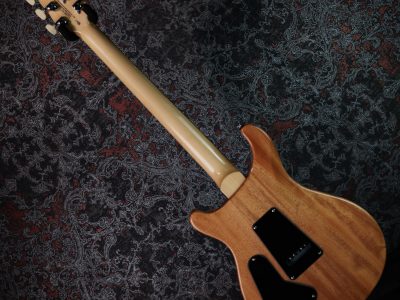 Paul Reed Smith(PRS) 2025 SE Custom 24 Blue Matteo (Natural Back) (Japan Special)