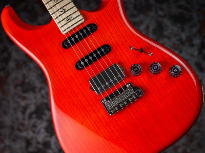 Paul Reed Smith(PRS) Fiore Amaryllis / Gloss SSH