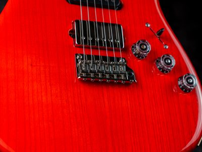 Paul Reed Smith(PRS) Fiore Amaryllis / Gloss SSH